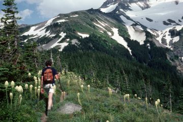 Hiking Timberline Trail Mt Hood Oregon