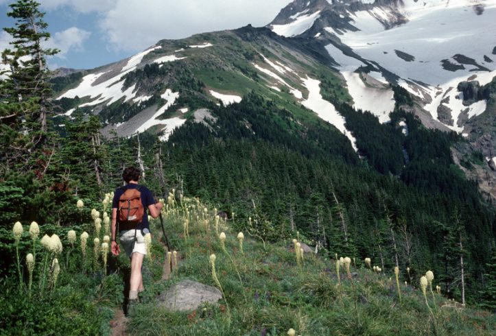 Hiking Timberline Trail Mt Hood Oregon