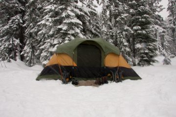 Essential Winter Camping Tips