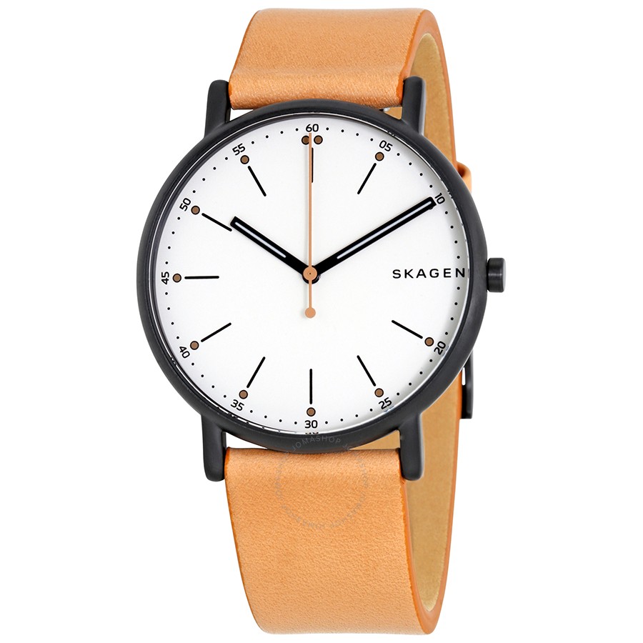 Skagen Signature Watch