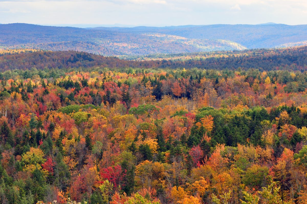 Vermont Long Trail in Fall