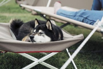 Snow Peak Dog Cot