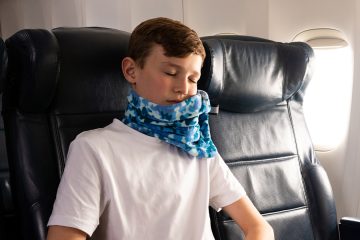 Trtl Travel Pillow