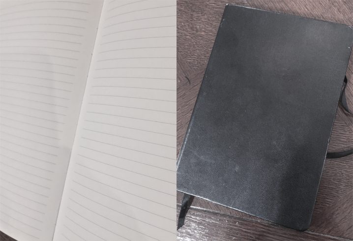 Peter Pauper Budget Notebook