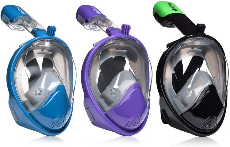 Snorkeling Mask