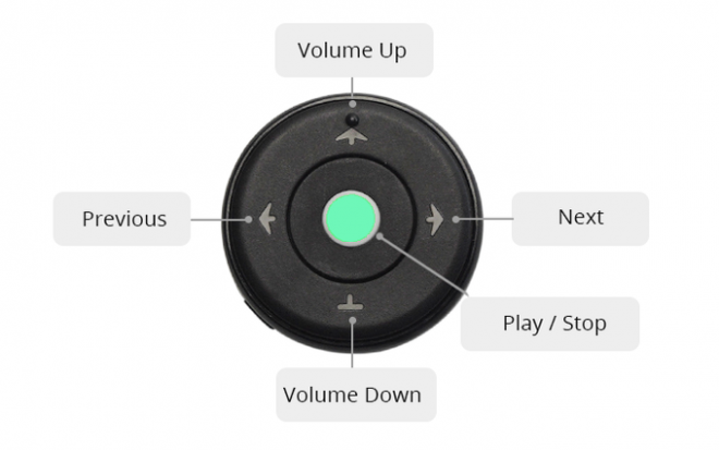 ProLab Coin-Size Control Hub Mouse: You've Never Seen Such!